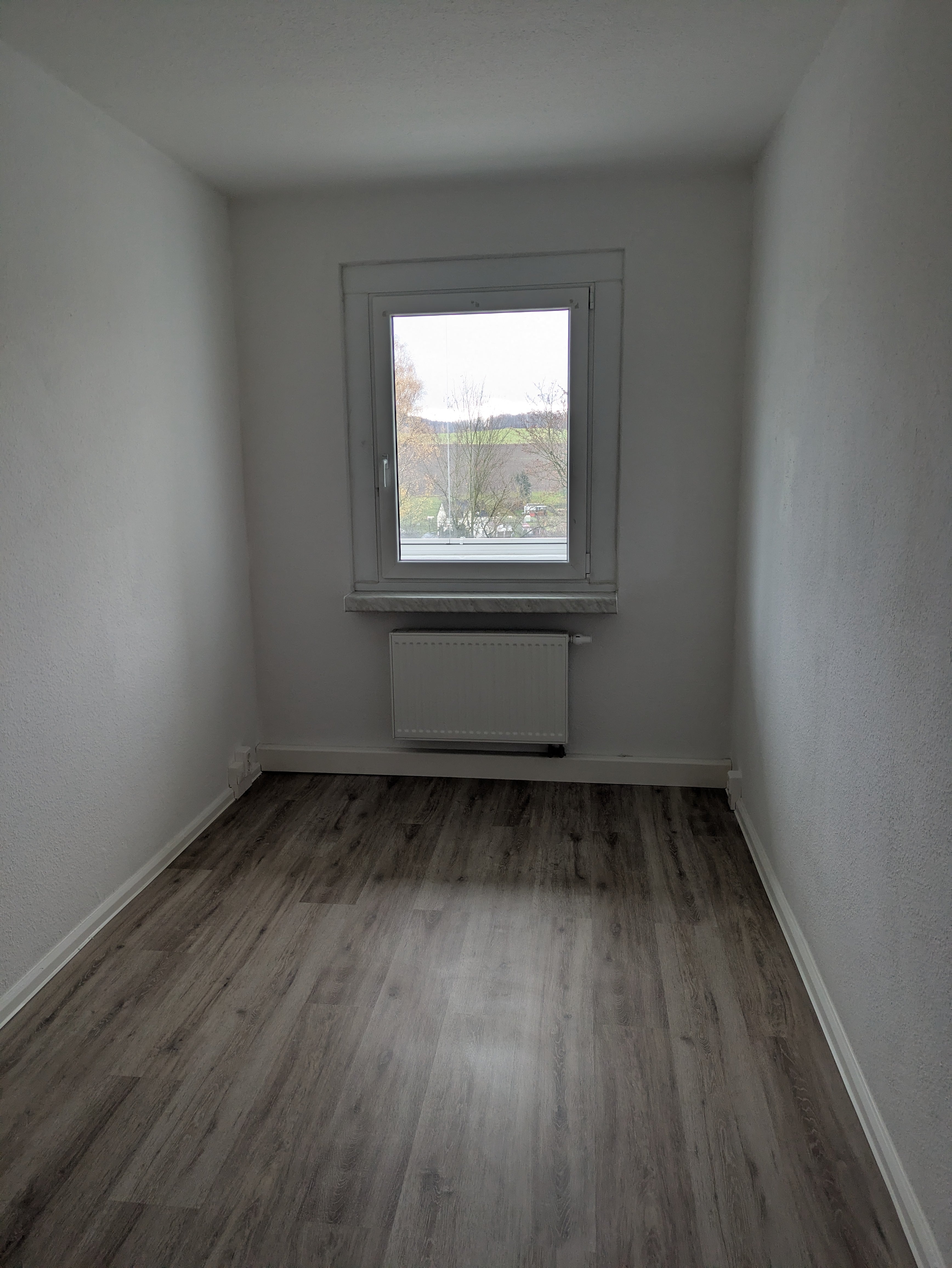 PXL 20250213 084041359 min