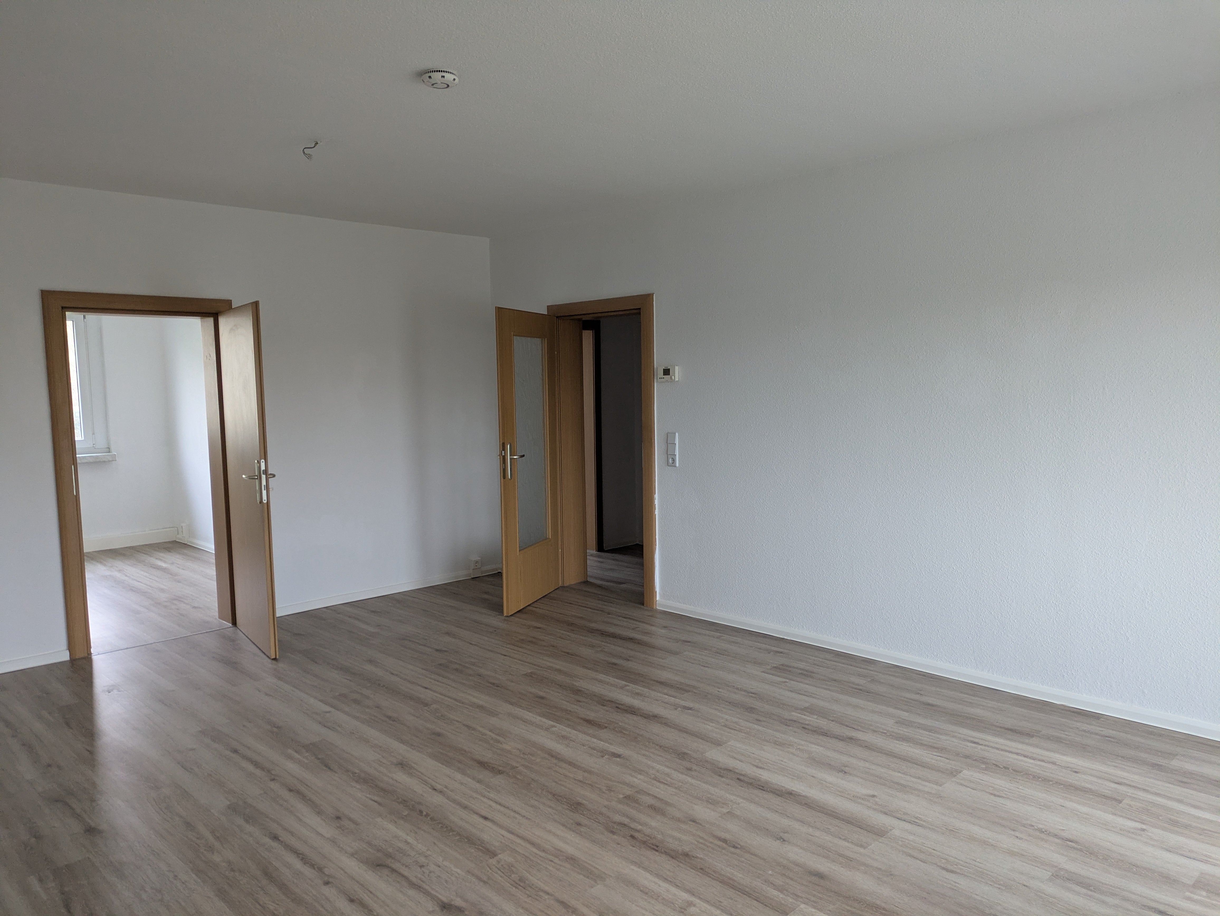 PXL 20250213 084026266 1 min