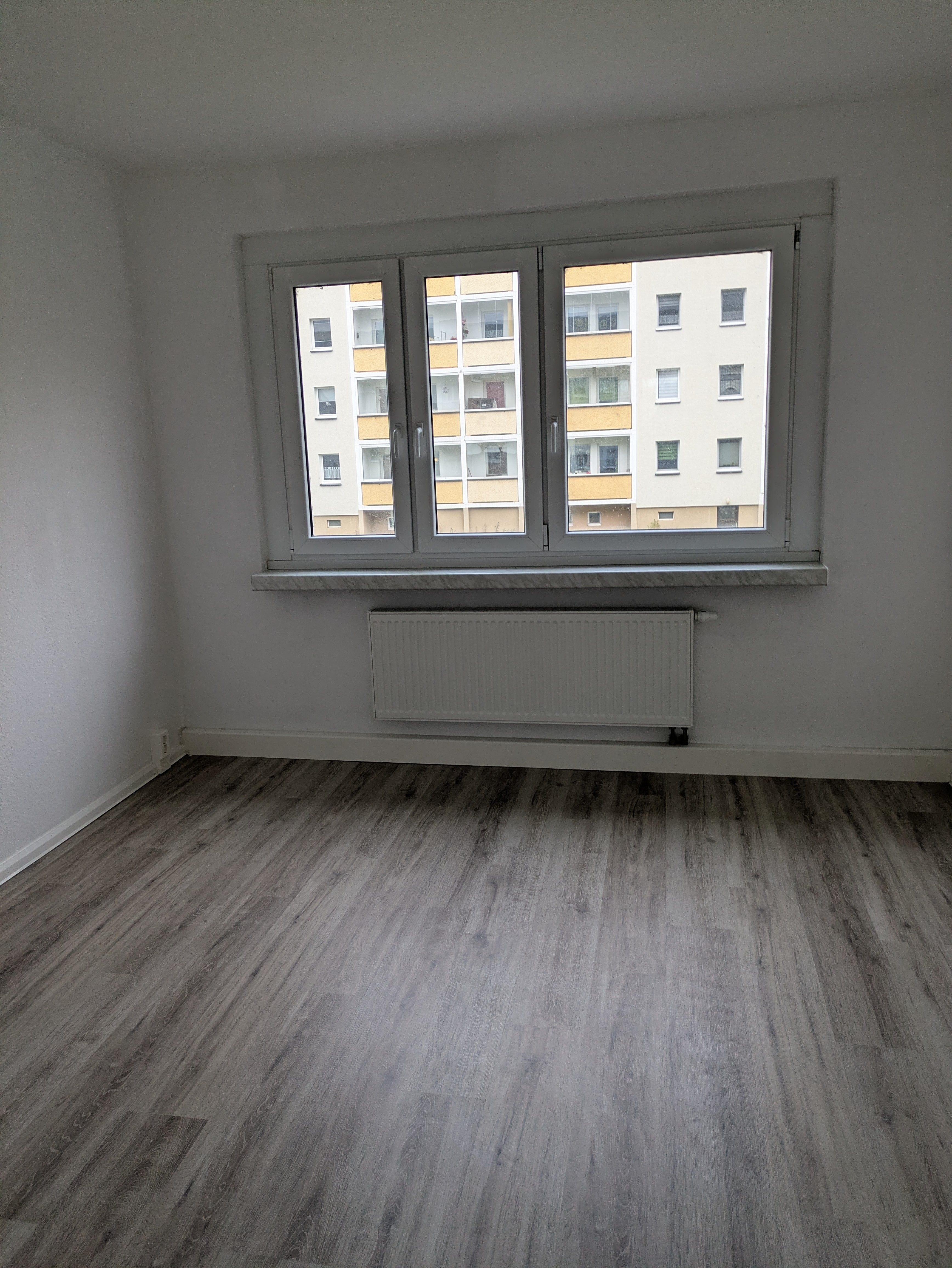 PXL 20250213 084137053 min